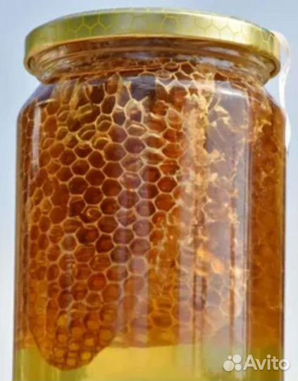 Мед в сотах