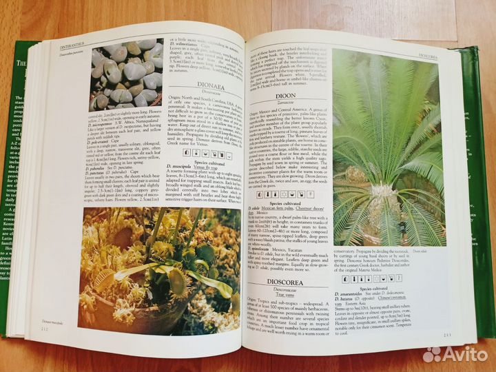 Энциклопедия комнатных растений на