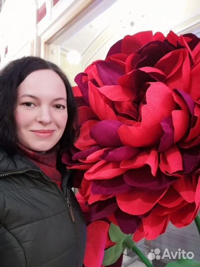 Таргетолог вконтакте/продвижение вк/реклама вк