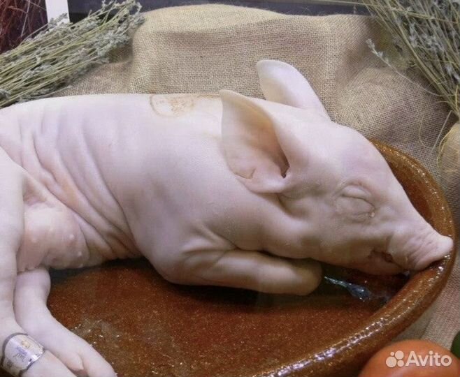 Молочные поросята