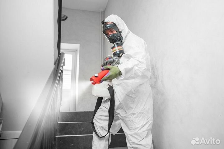 Уничтожение тараканов клопов обработка