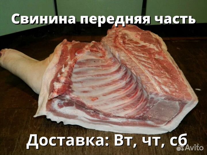 Свинина передняя часть