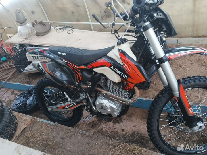 Avantis 250 fx lux