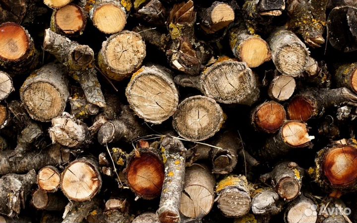 Дрова в область