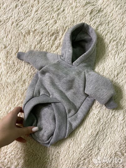 Одежда для собак