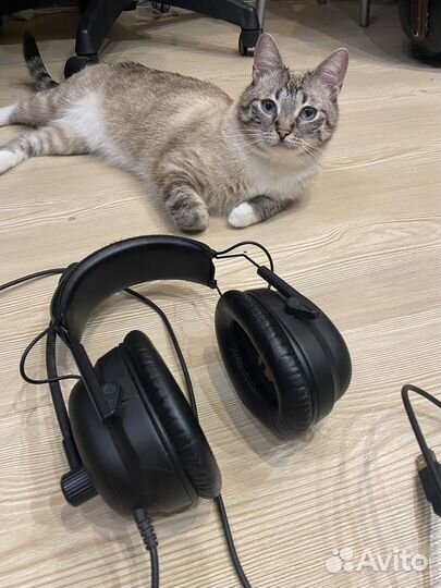 Наушники Zet Gaming Pro