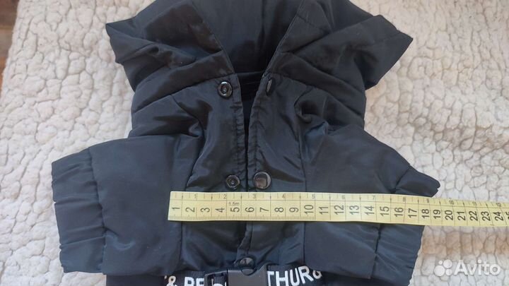 Костюмчик для собаки