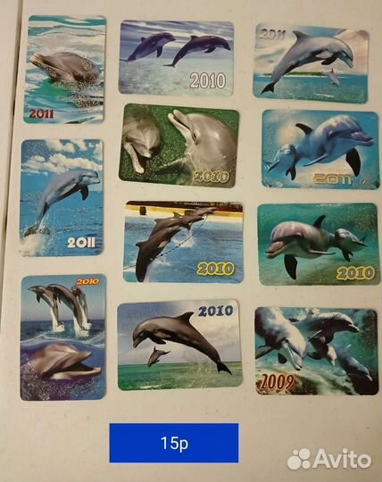 Календарь карманный. Рыбы, ракушки, дельфины