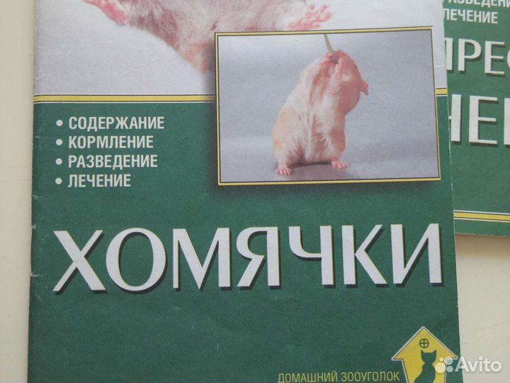 О домашних питомцах