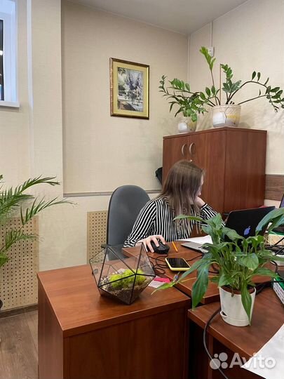 Бухгалтер твоей мечты