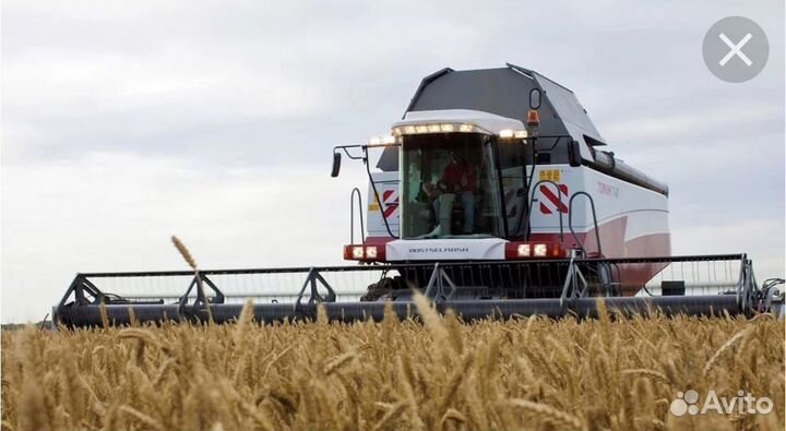 Предлагаем услуги по уборке урожая 2024года