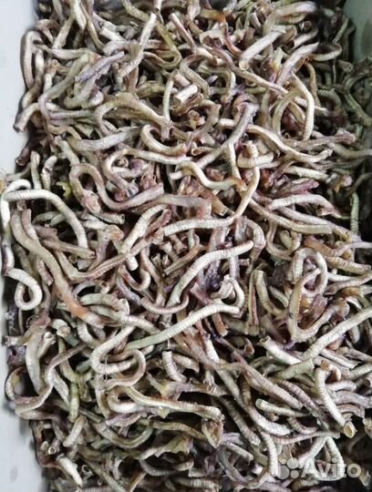 Мясо для собак