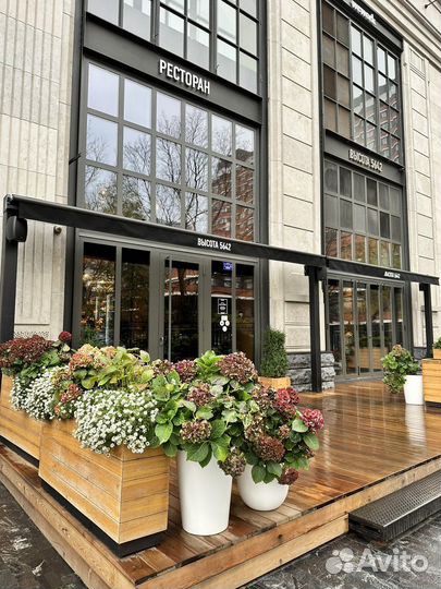 Кассир в ресторан