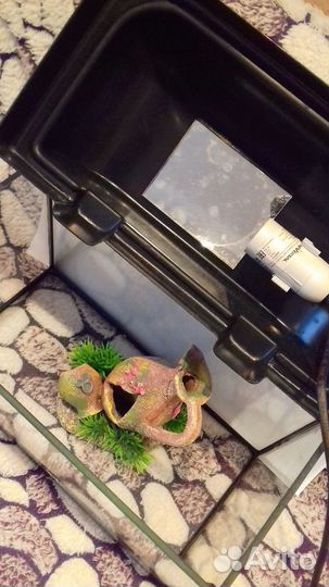 Аквариум с принадлежностями