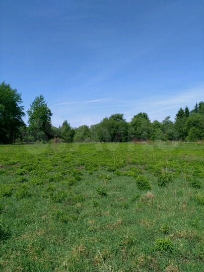 Участок 30 сот. (ИЖС)