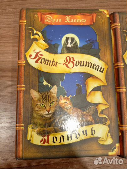 Книги Эрин Хантер 