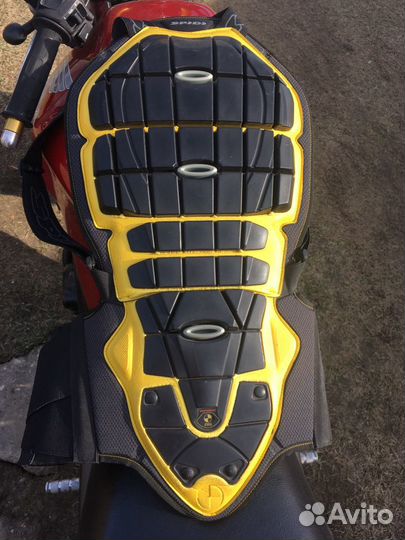 Защита спины Spidi Back Warrior
