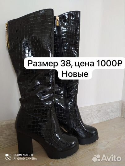 Одежда