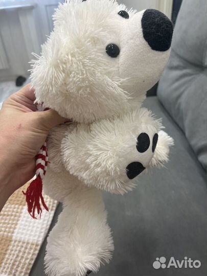 Медведь заяц