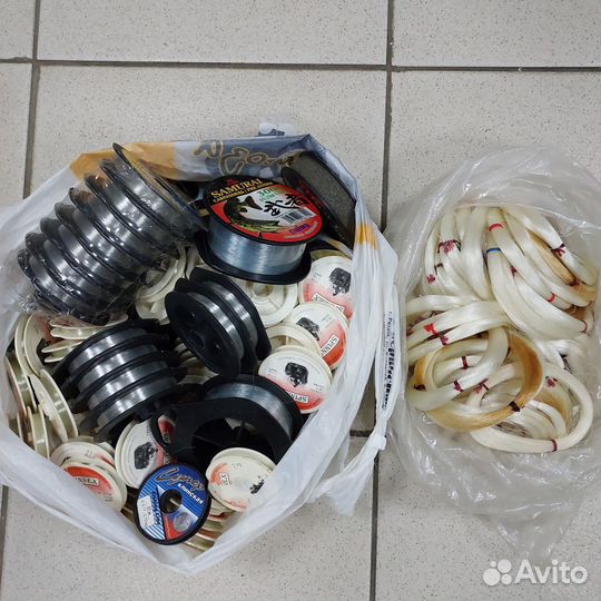 Леска рыболовная