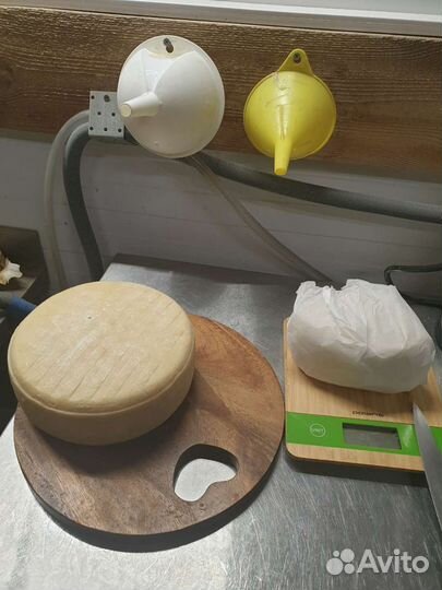 Сыр из козьего молока