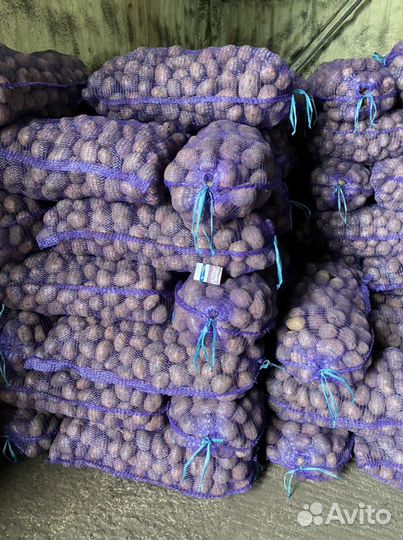 Картофель оптом от производителя