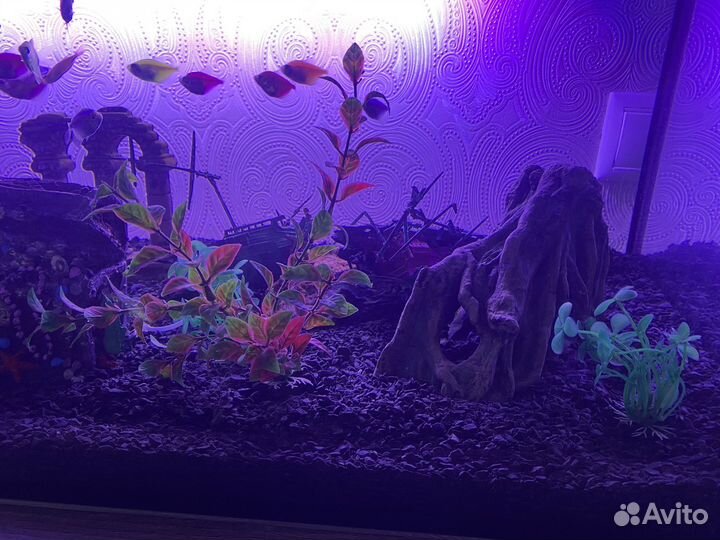 Аквариум со всем оборудованием