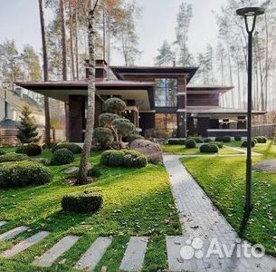 Продажа Рулонного газона