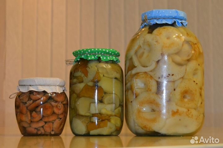 Соленые грибы-рыжики,грузди,белые,маслята, опята