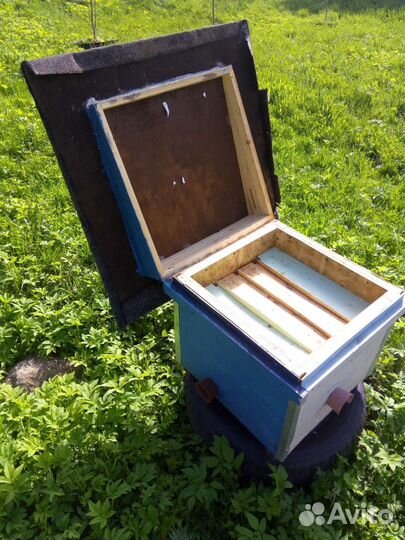 Улей-нуклеус