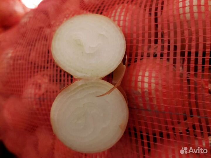 Лук репчатый продажа с доставкой