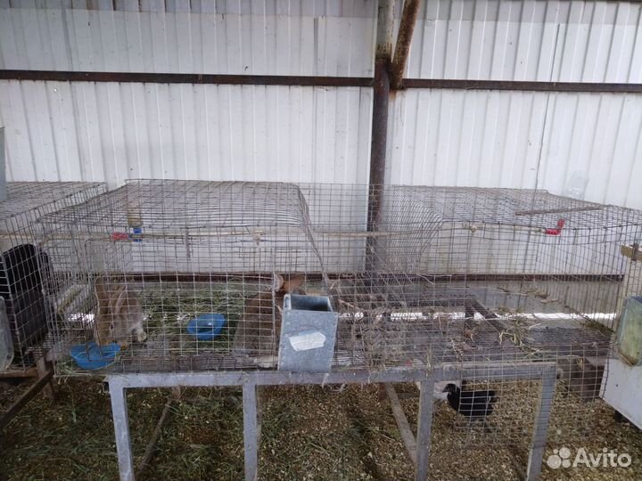 Клетка для кролика
