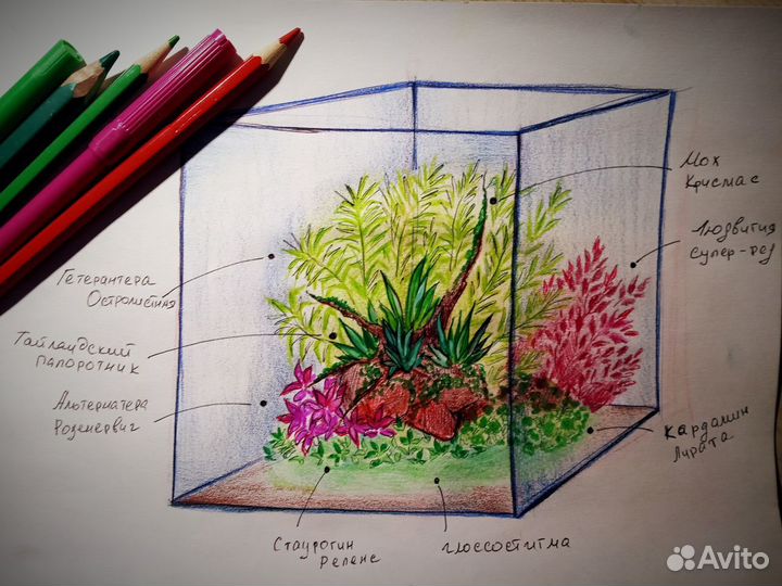 Дизайн аквариума (подбор растений)