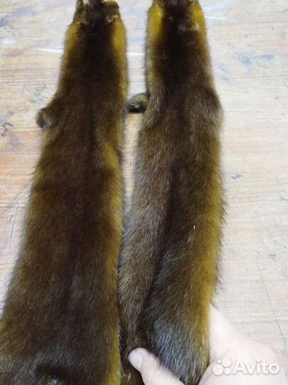 Хвосты норки