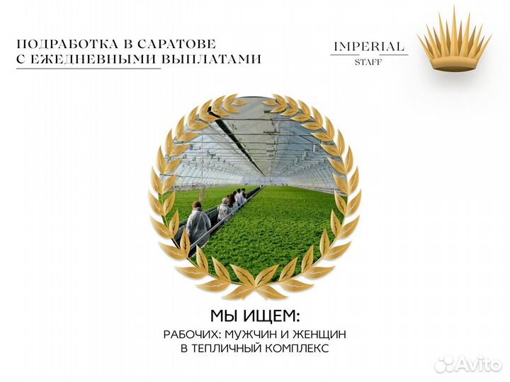 Рабочие В Цветочный Комплекс Ежедневные Выплаты