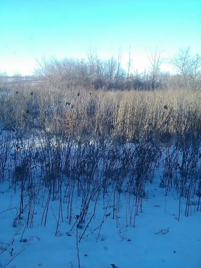 Дом 150 м² на участке 18 сот.