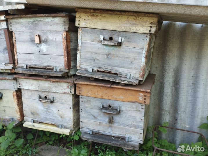 Ульи для пчел