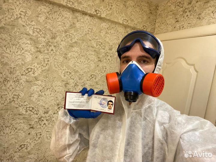 Уничтожение клопов, травить тараканов. Дезинфекция