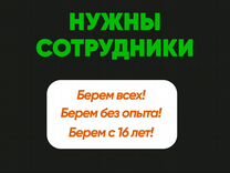 Водитель в магазин категория B