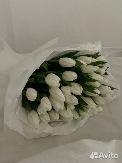 Предзаказ тюльпанов на 8 марта