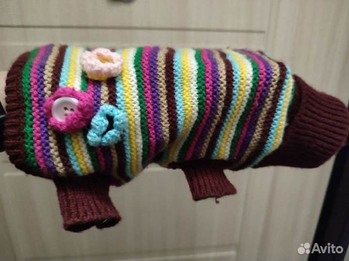 Одежда для маленьких собак