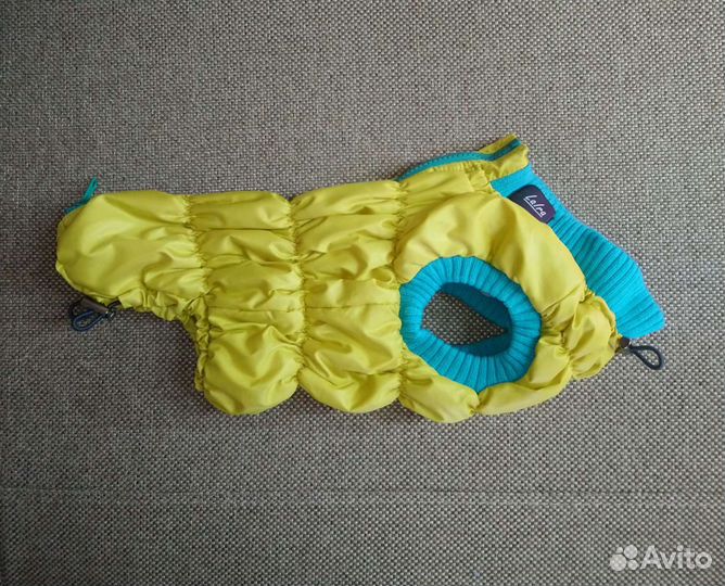 Одежда для собак