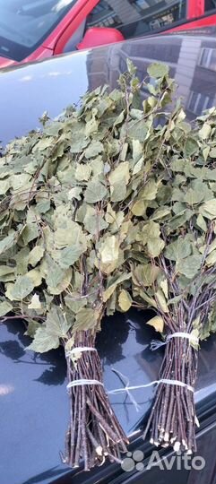 Берёзовые веники для бани