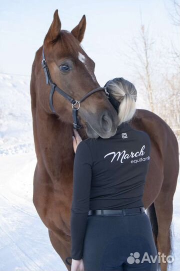 Одежда для всадника, флисовая повязка и водолазка