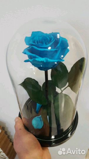Роза в Колбе(Вечная Роза)
