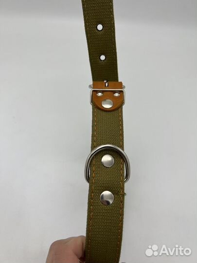 Ошейники для собак