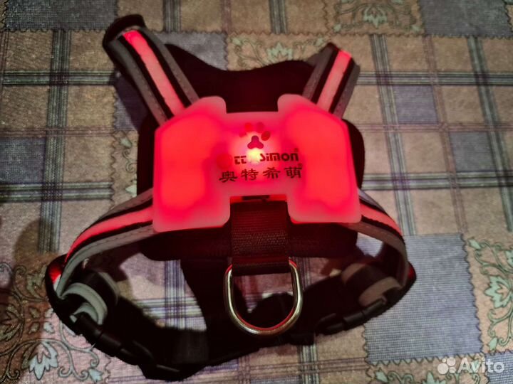 Шлейка для маленькой собаки