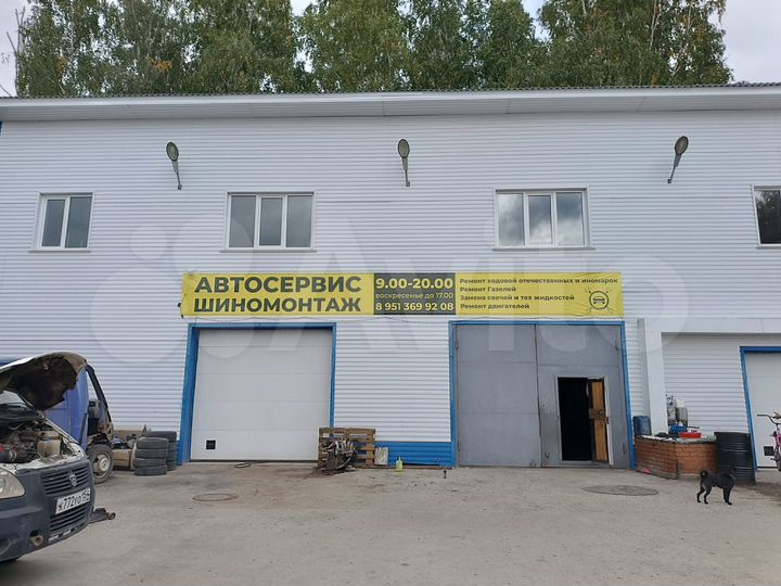 Свободного назначения, 240 м²