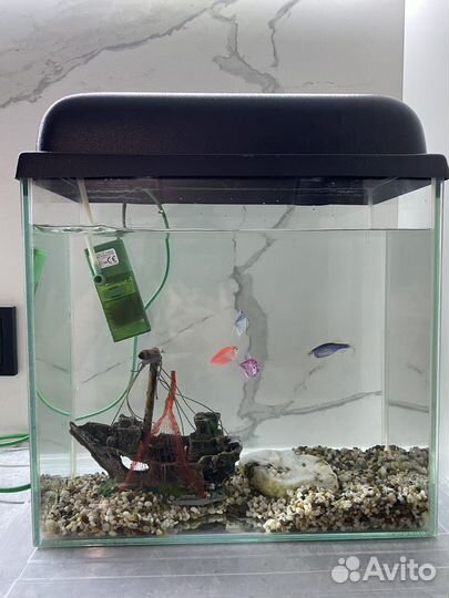 Аквариум с рыбками