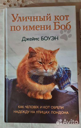 Уличный кот по имени Боб
